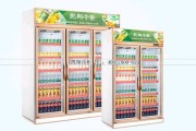 达姆施塔特启用智能储物柜系统方便球迷存放物品